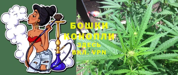 твердый Сатка