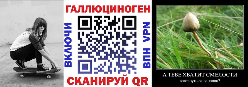 Галлюциногенные грибы Psilocybine cubensis  что такое   Теберда 