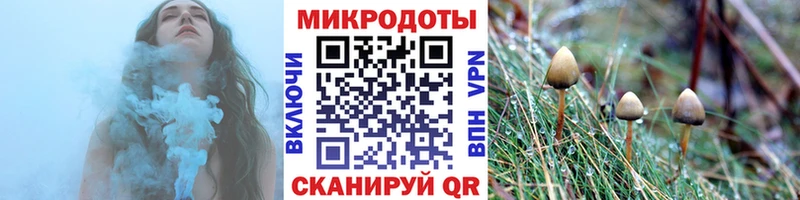 Псилоцибиновые грибы Magic Shrooms Теберда